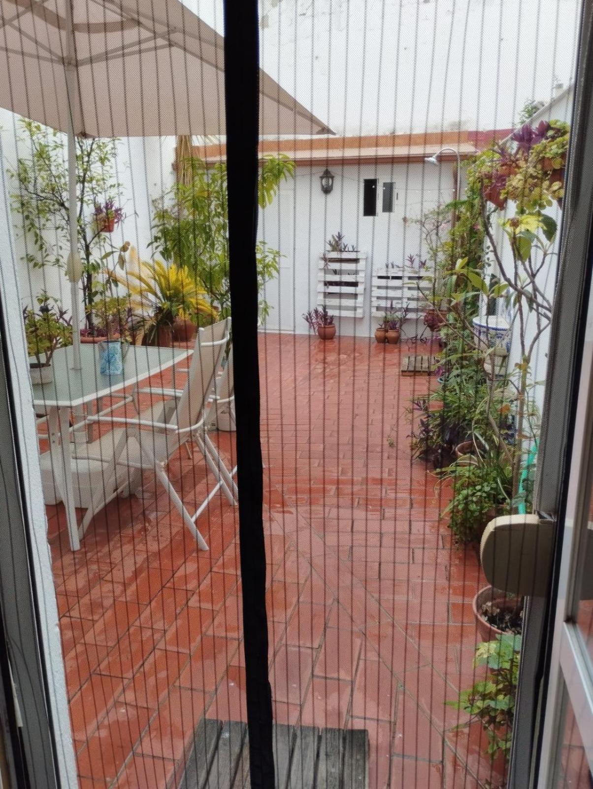 Patios Con Encanto قرطبة المظهر الخارجي الصورة