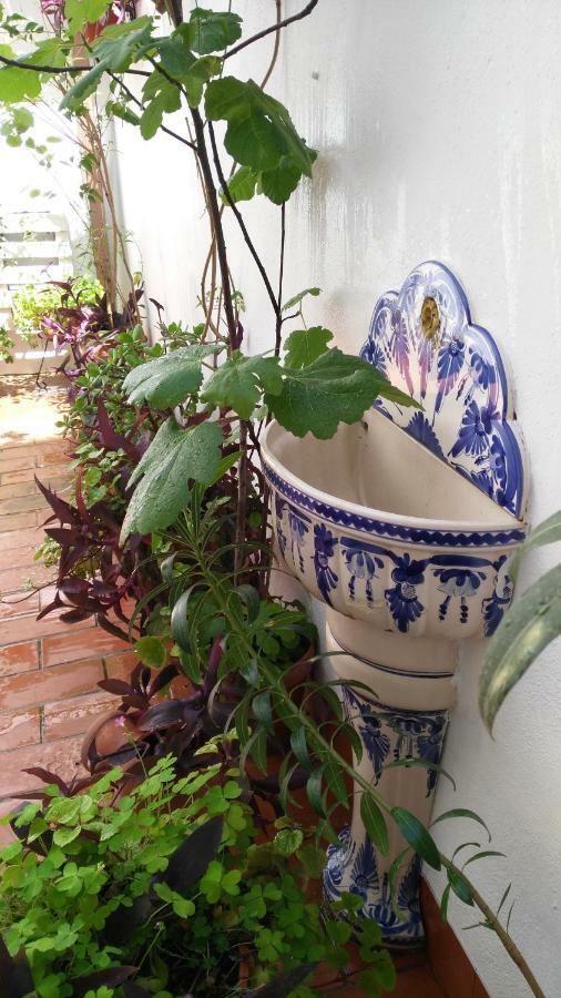 Patios Con Encanto قرطبة المظهر الخارجي الصورة